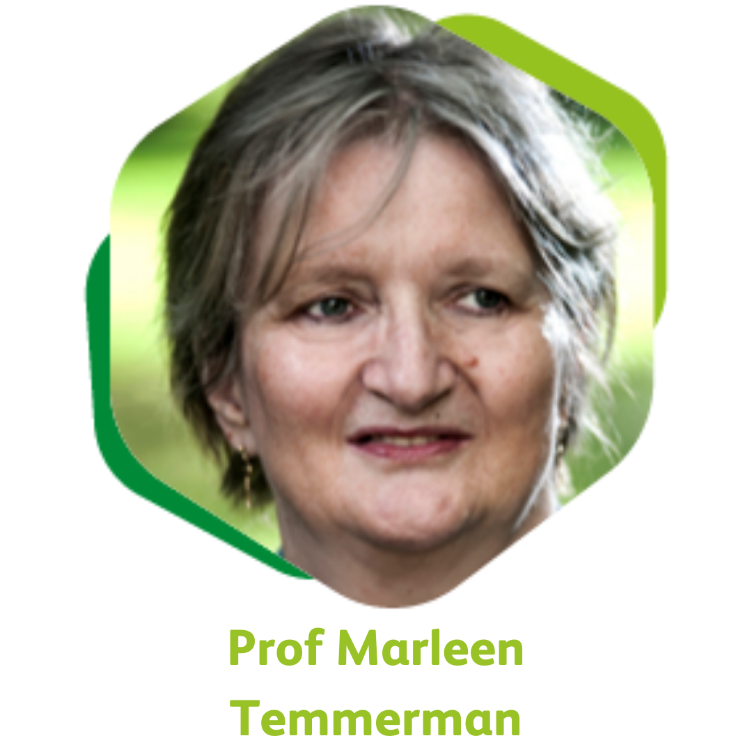 Marleen Temmerman